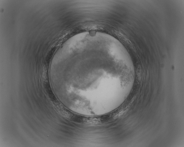 X0000065230359200603101600