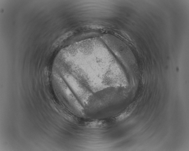X0000065230366200603101600