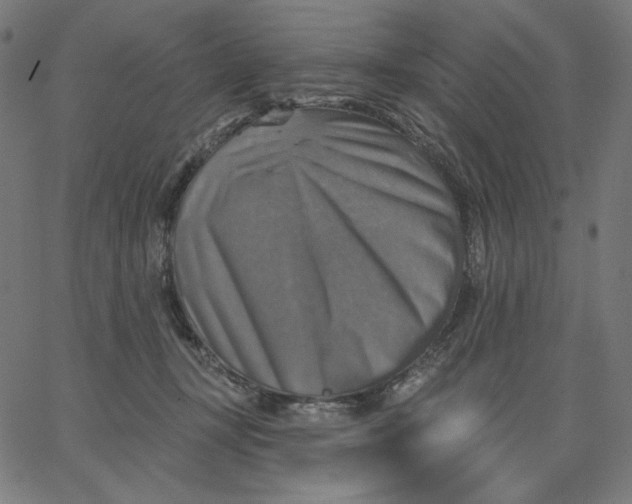 X0000065230367200603101600