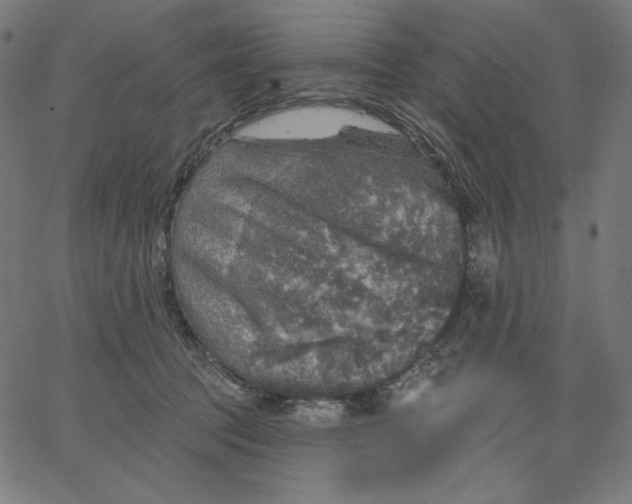 X0000065230369200603101600