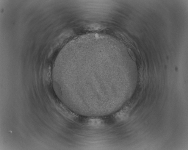 X0000065230376200603101600