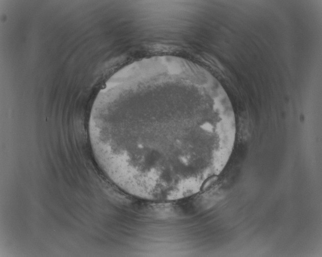 X0000065230377200603101600