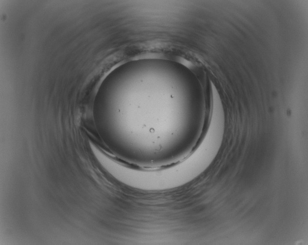 X0000065230380200603101600