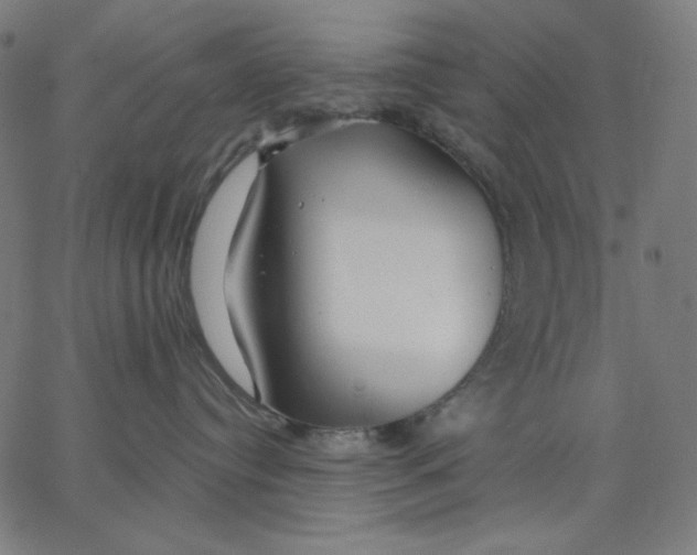 X0000065230384200603101600