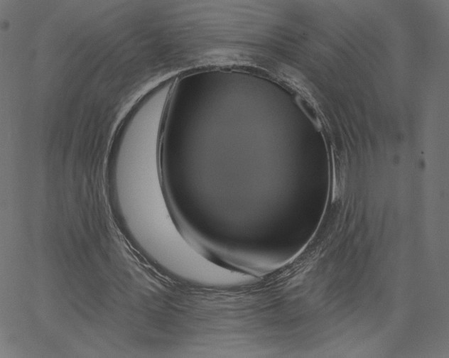X0000065230387200603101559
