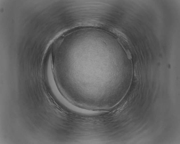 X0000065230388200603101559
