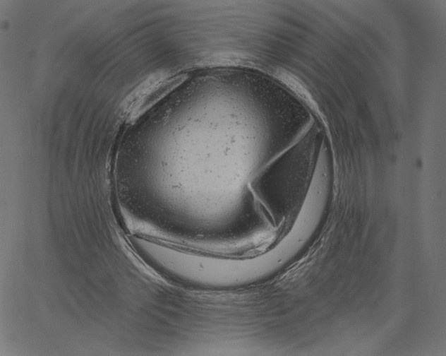 X0000065230389200603101559