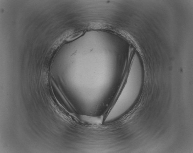 X0000065230393200603101559