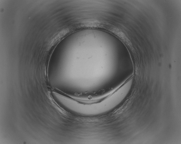 X0000065230397200603101559