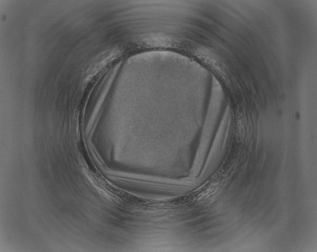 X0000065230398200603101559