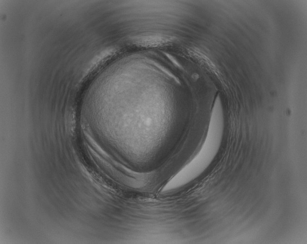 X0000065230400200603101559
