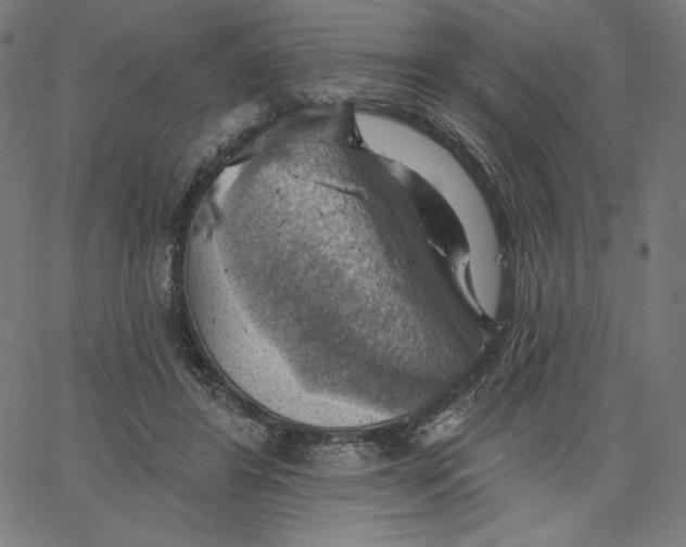 X0000065230404200603101559