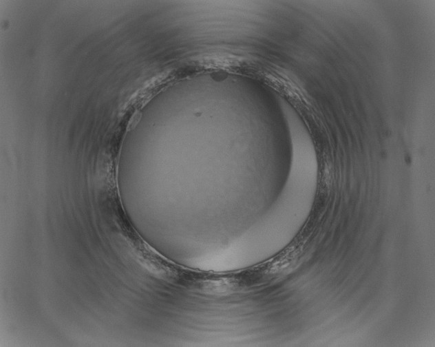 X0000065230411200603101559