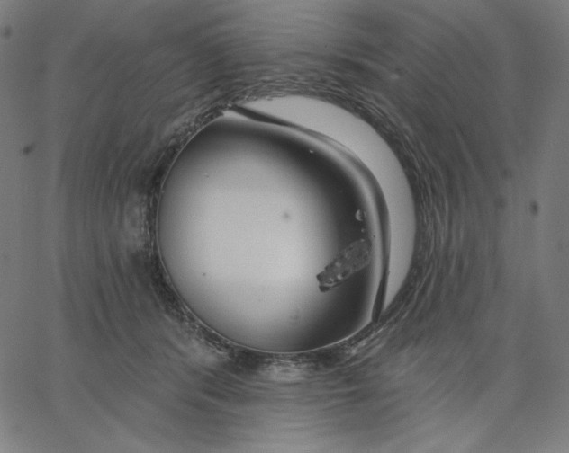 X0000065230416200603101559