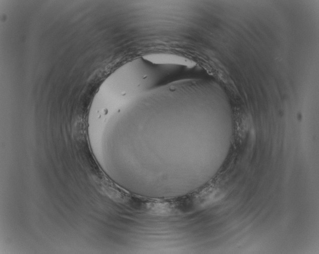 X0000065230419200603101559
