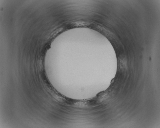 X0000065230422200603101559