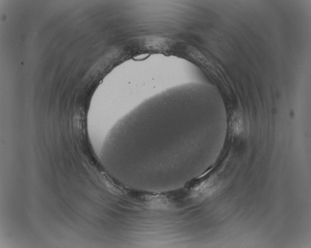 X0000065230424200603101559