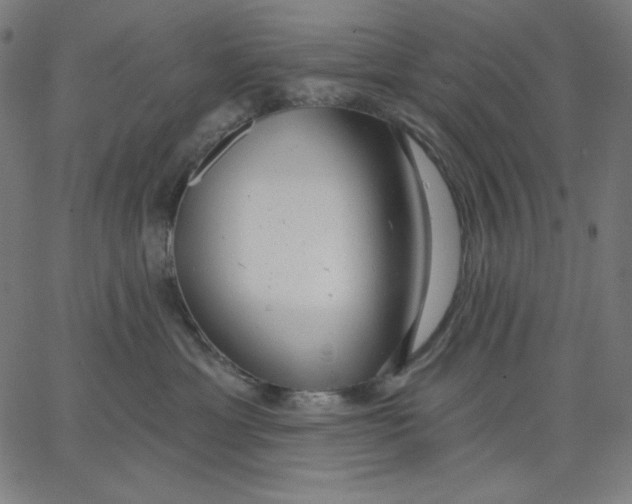 X0000065230429200603101559