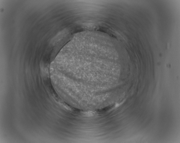 X0000065230432200603101559