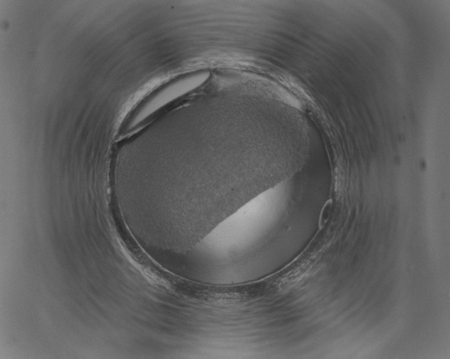 X0000065230438200603101558