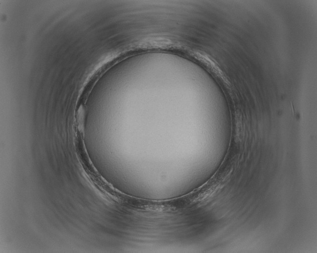 X0000065230439200603101558