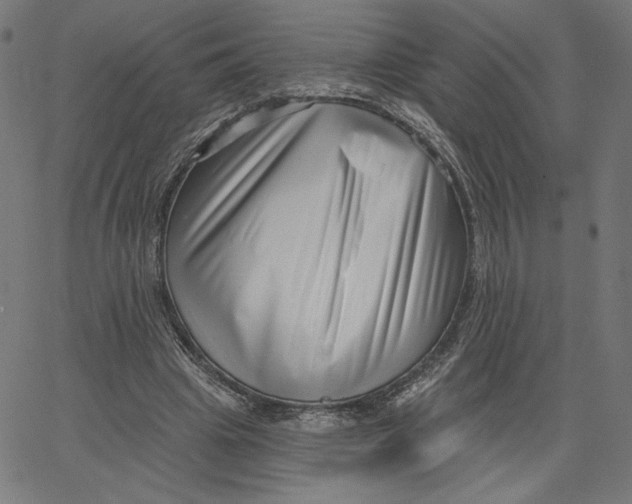 X0000065230441200603101558