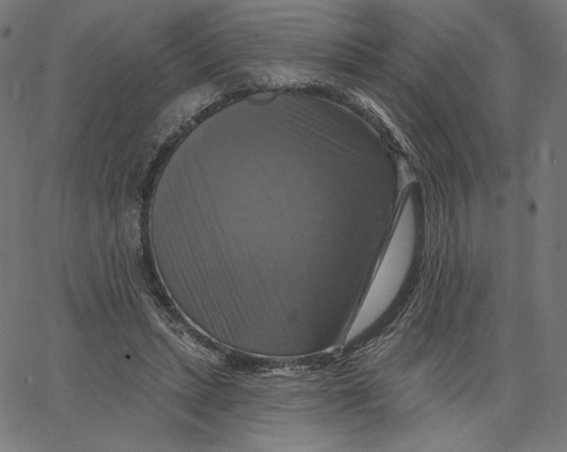 X0000065230447200603101558