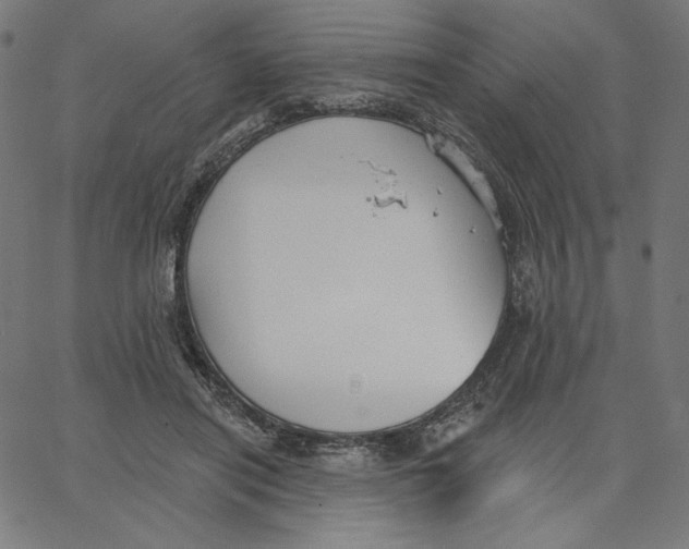 X0000065230454200603101558