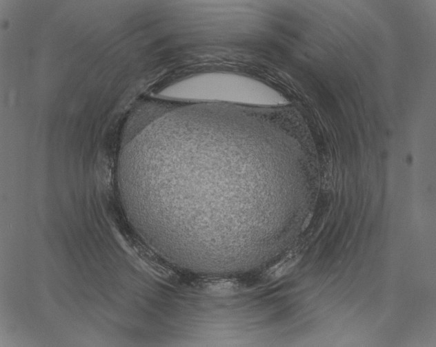 X0000065230456200603101558