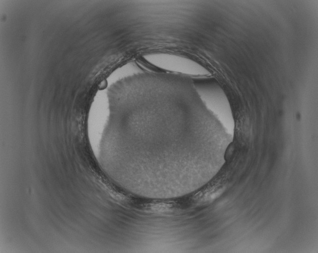 X0000065230462200603101558