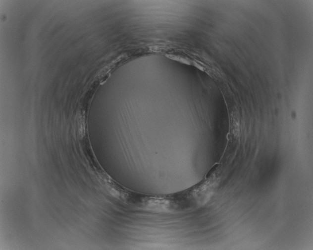 X0000065230471200603101559