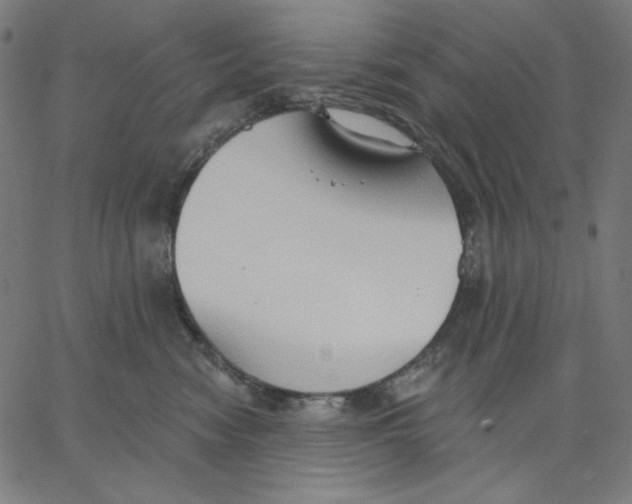 X0000065230474200603101559