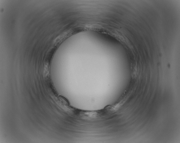 X0000065230478200603101559