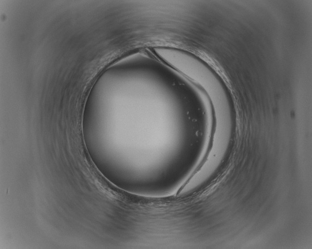 X0000065230481200603101558