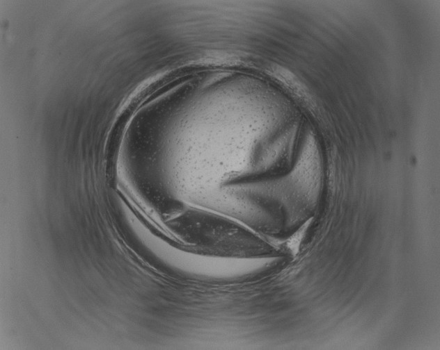 X0000065230484200603101558