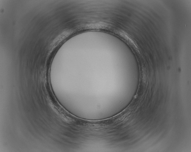 X0000065230486200603101558