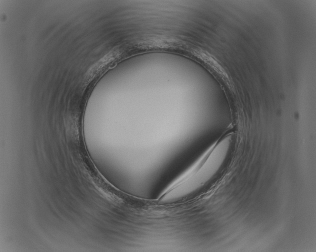 X0000065230489200603101558