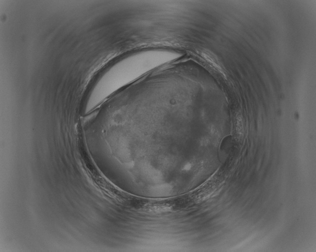 X0000065230491200603101558