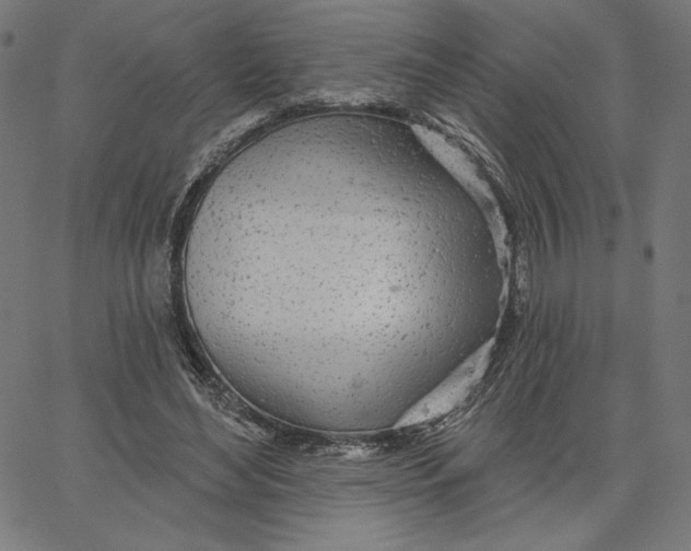 X0000065230492200603101558