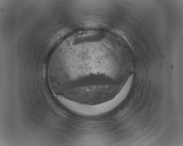X0000065230495200603101558