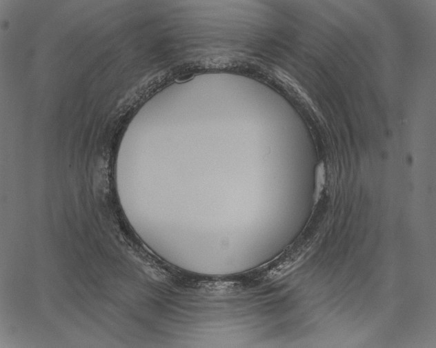 X0000065230497200603101558