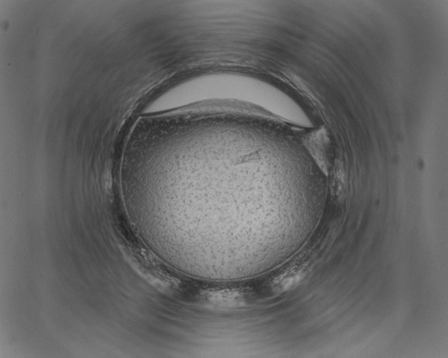 X0000065230500200603101558