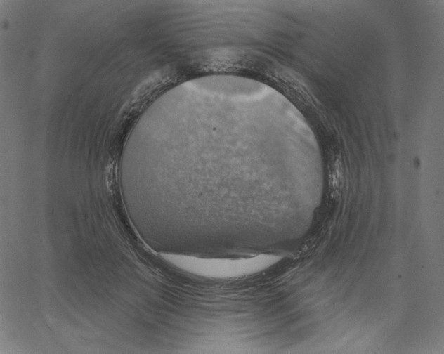 X0000065230503200603101558