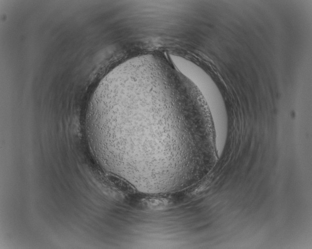 X0000065230512200603101557
