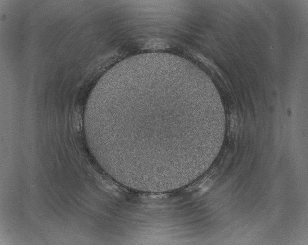 X0000065230517200603101557