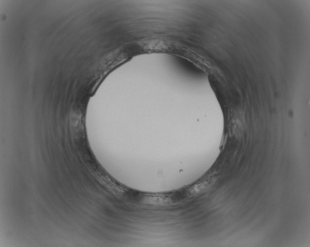 X0000065230521200603101557