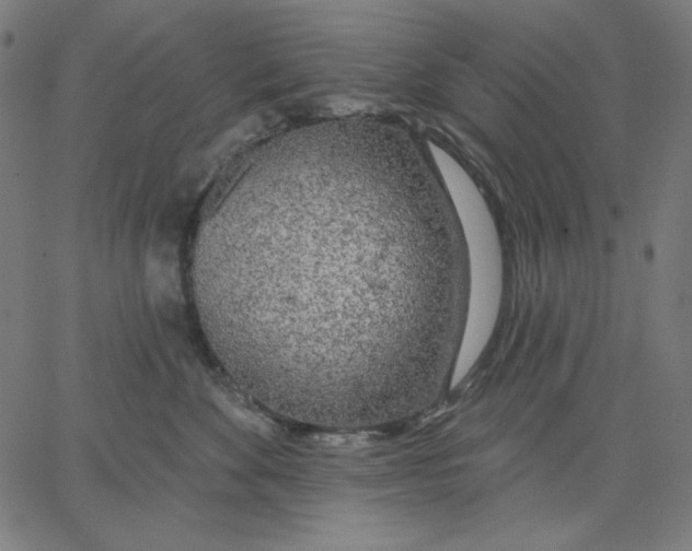 X0000065230524200603101557