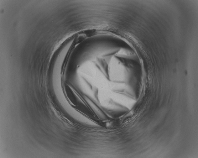 X0000065230532200603101557