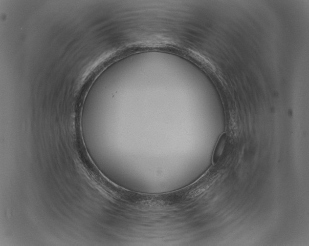 X0000065230535200603101557