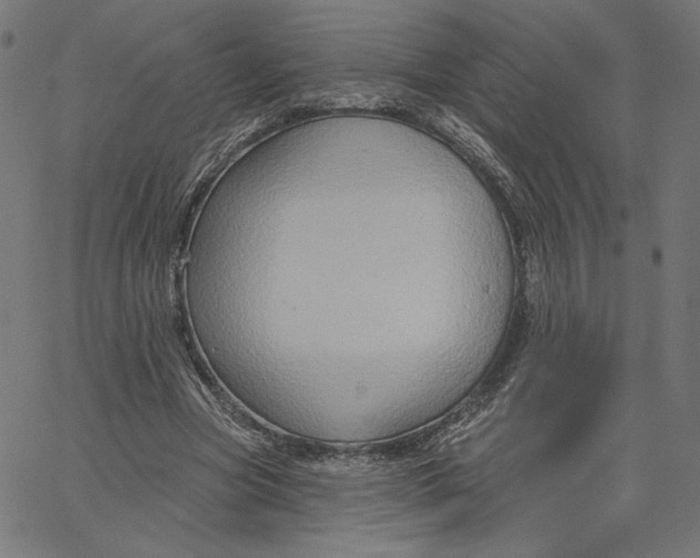 X0000065230537200603101557